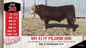 Lot #30 - WH 417F PILGRIM 60K