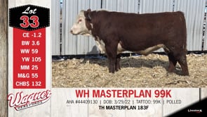 Lot #33 - WH MASTERPLAN 99K