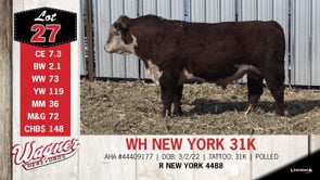 Lot #27 - WH NEW YORK 31K
