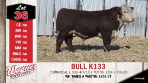 Lot #36 - BULL K133