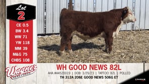Lot #2 - WH GOOD NEWS 82L