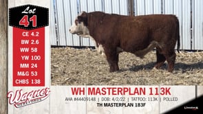 Lot #41 - WH MASTERPLAN 113K