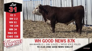 Lot #31 - WH GOOD NEWS 87K