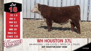 Lot #18 - WH HOUSTON 37L