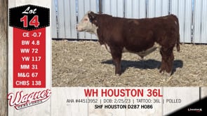 Lot #14 - WH HOUSTON 36L