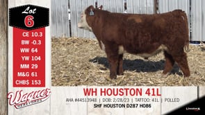 Lot #6 - WH HOUSTON 41L