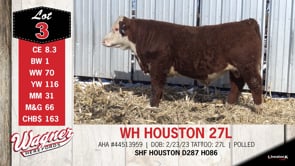 Lot #3 - WH HOUSTON 27L
