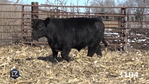 Lot #3104 - LZL DUKE 3104