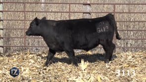 Lot #3113 - LZ ALLIANCE 336J 3113