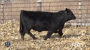 Lot #3205 - LZ CEDAR WIND 329J 3205