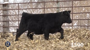 Lot #3500 - LZL BARBARA 3500