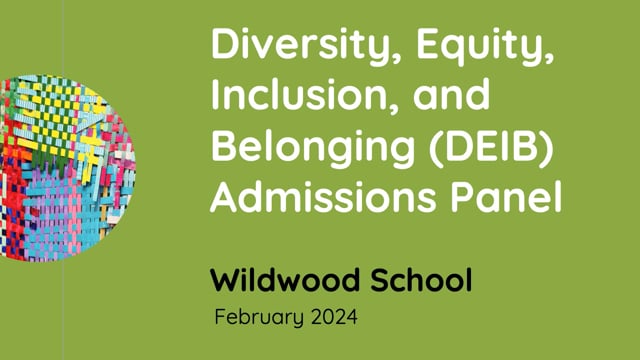Diversity, Equity, Inclusion, and Belonging (DEIB) Admission Panel - Feb. 6, 2024