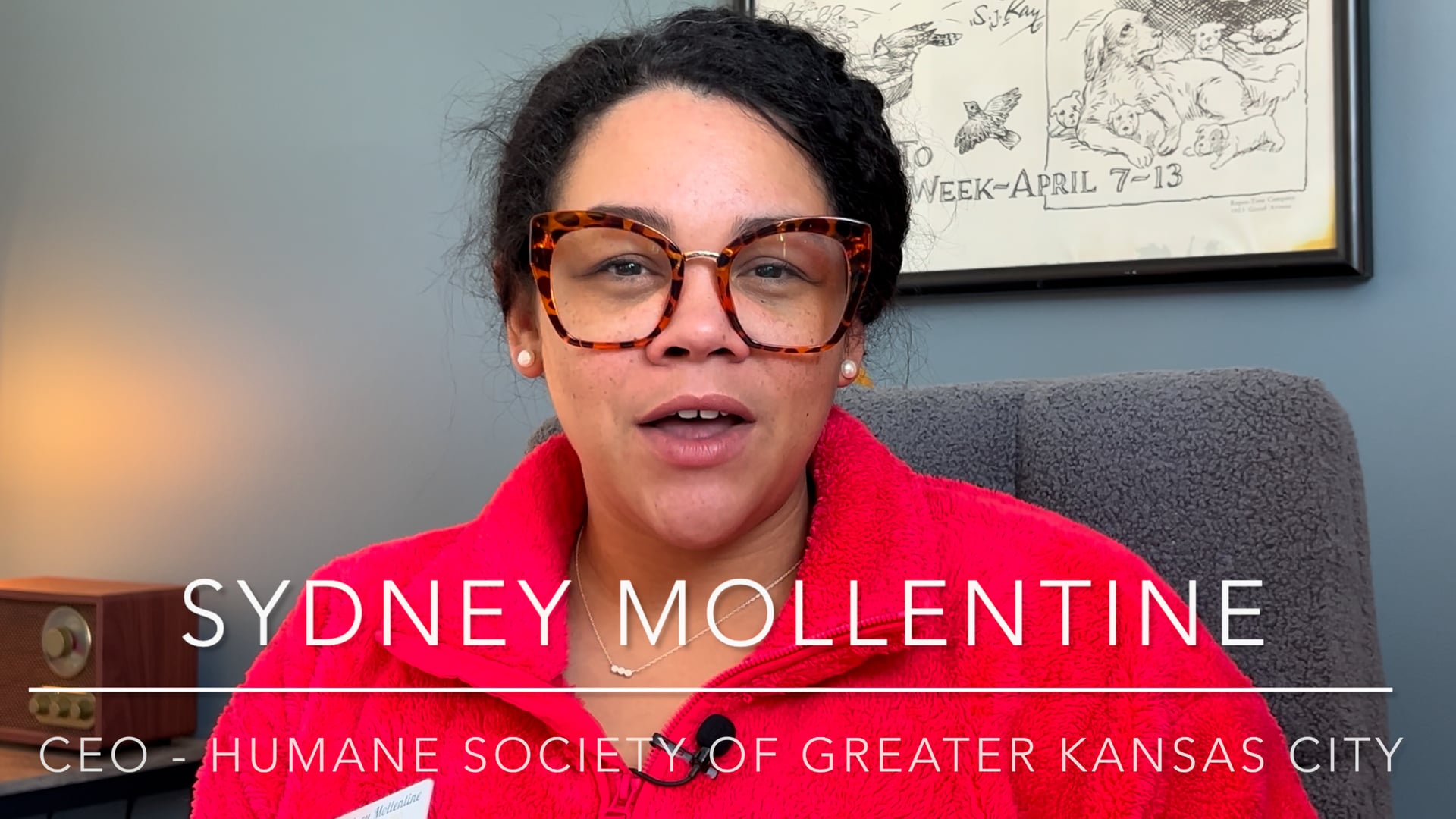 Humane Society of Greater  Kansas City Profile