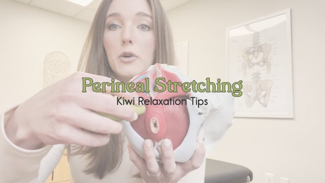 Perineum