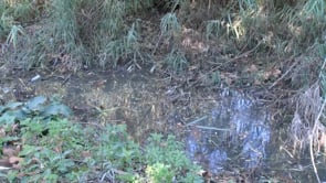 El Baix Ter reclama 'mesures urgents' per garantir l'aigua al territori