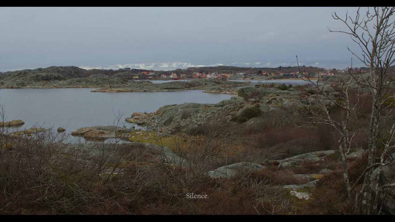 Silent archipelago