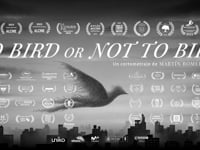 Tráiler de To bird or not to bird