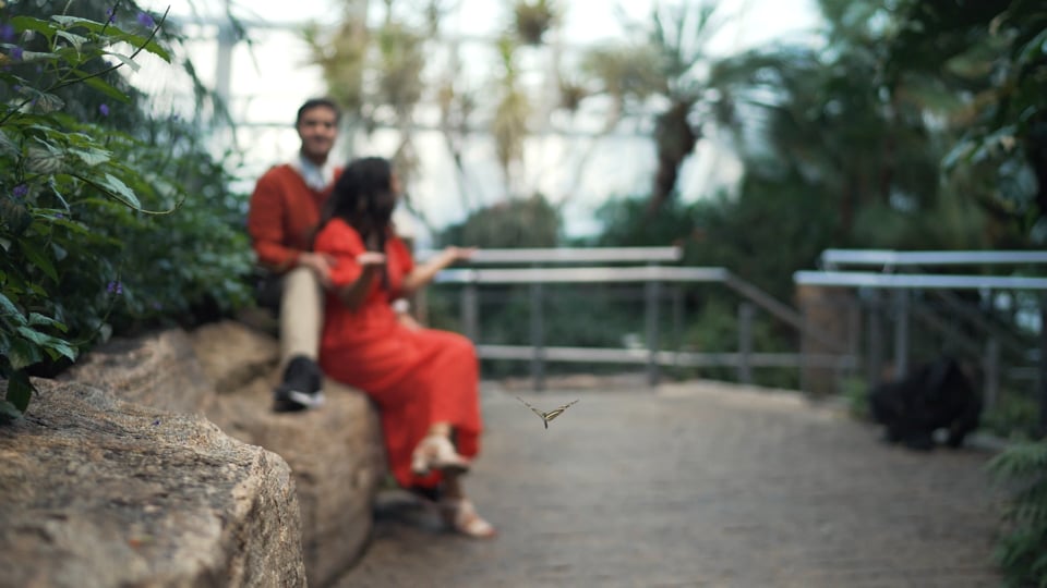 Couple seated among tropical palms in a Niagara Parks conservatory, a Happy Soul Films e-shoot still