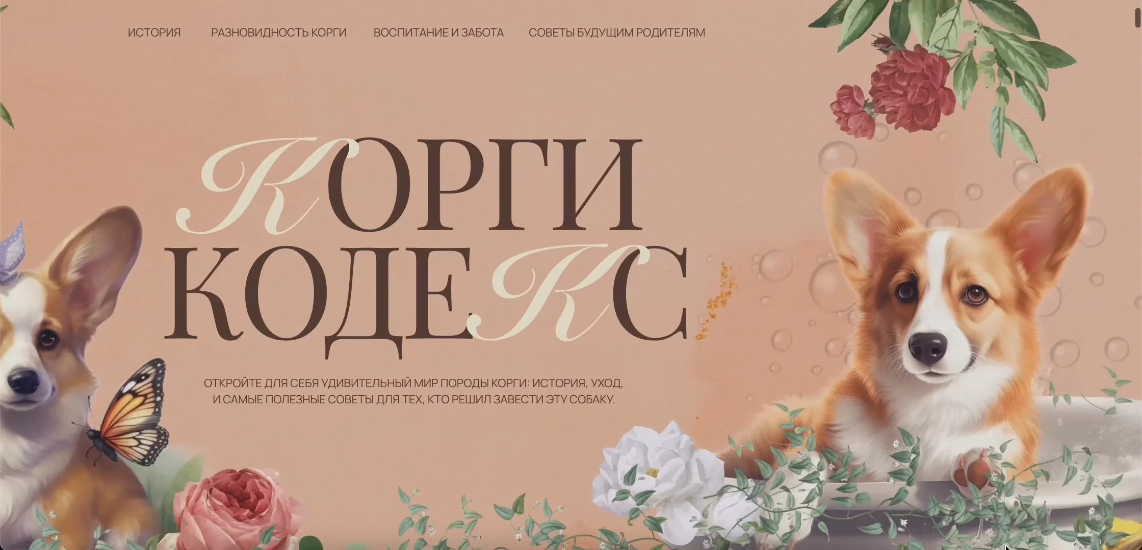 День корги какого числа