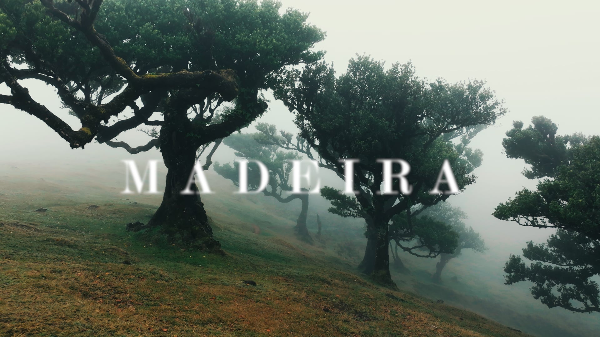 If lost, return me to Madeira.