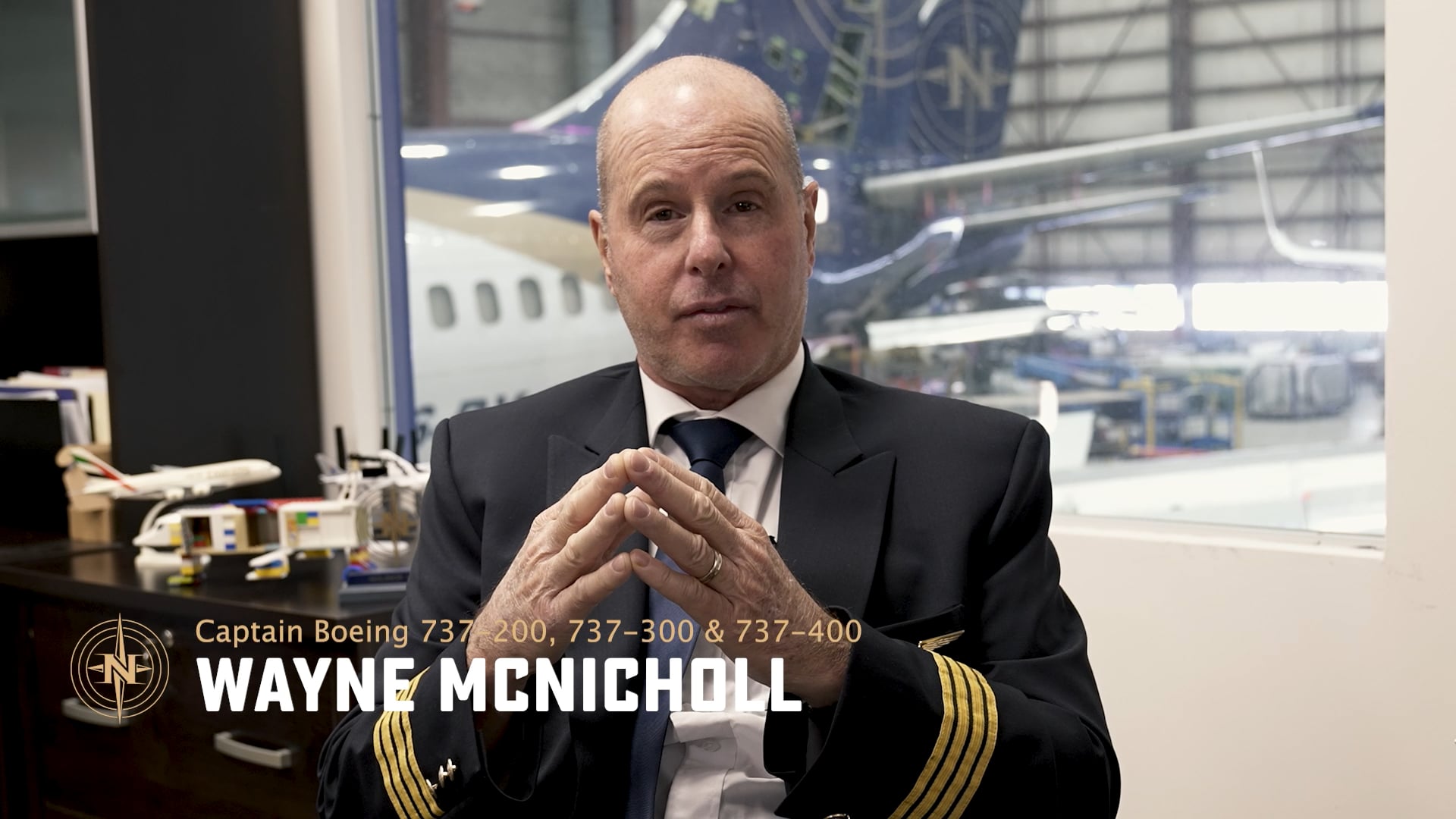 Professional airline pilot