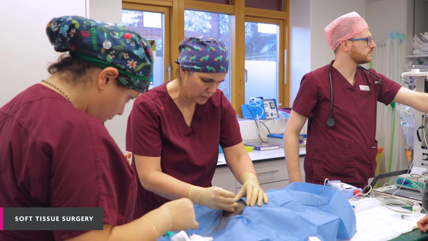 vimeo-video-thumbnail