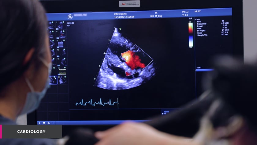 vimeo-video-thumbnail