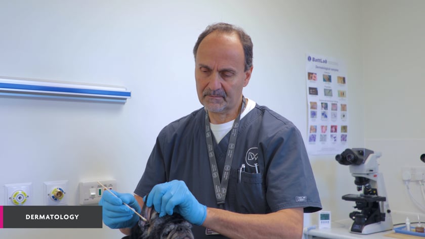 vimeo-video-thumbnail