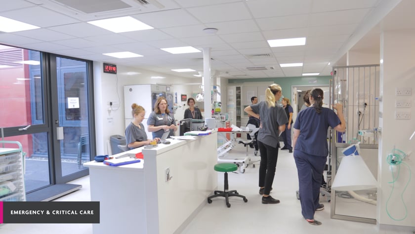 vimeo-video-thumbnail