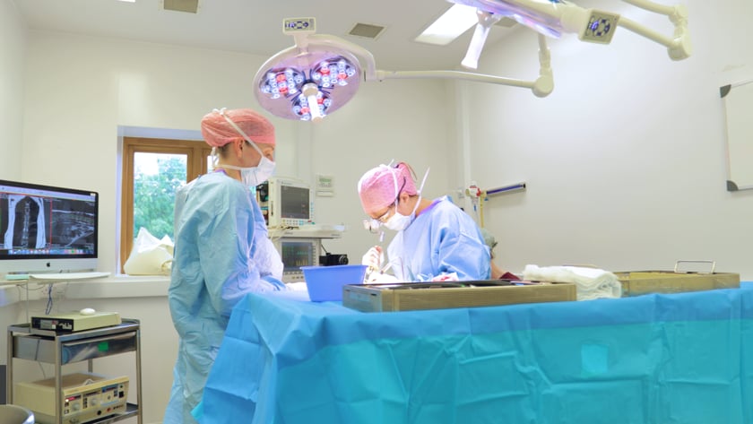 vimeo-video-thumbnail