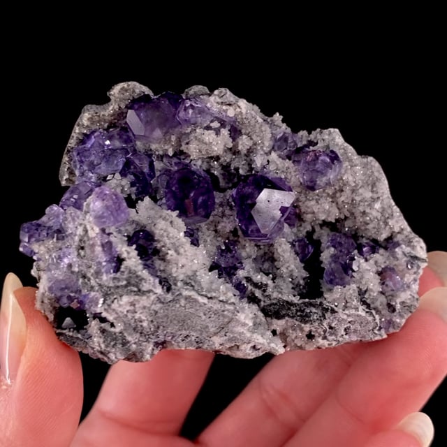 Fluorite (''Tanzanite Fluorite'')