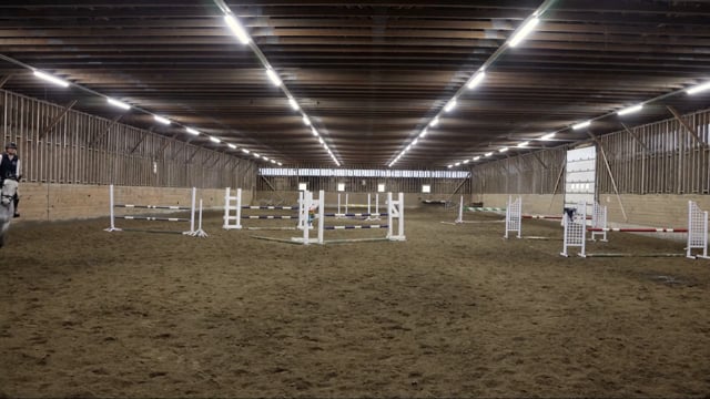Hooves and Harmony: Music in the Arena - Where Rhythm Meets Connection
