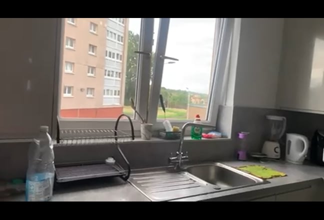 Video 1: