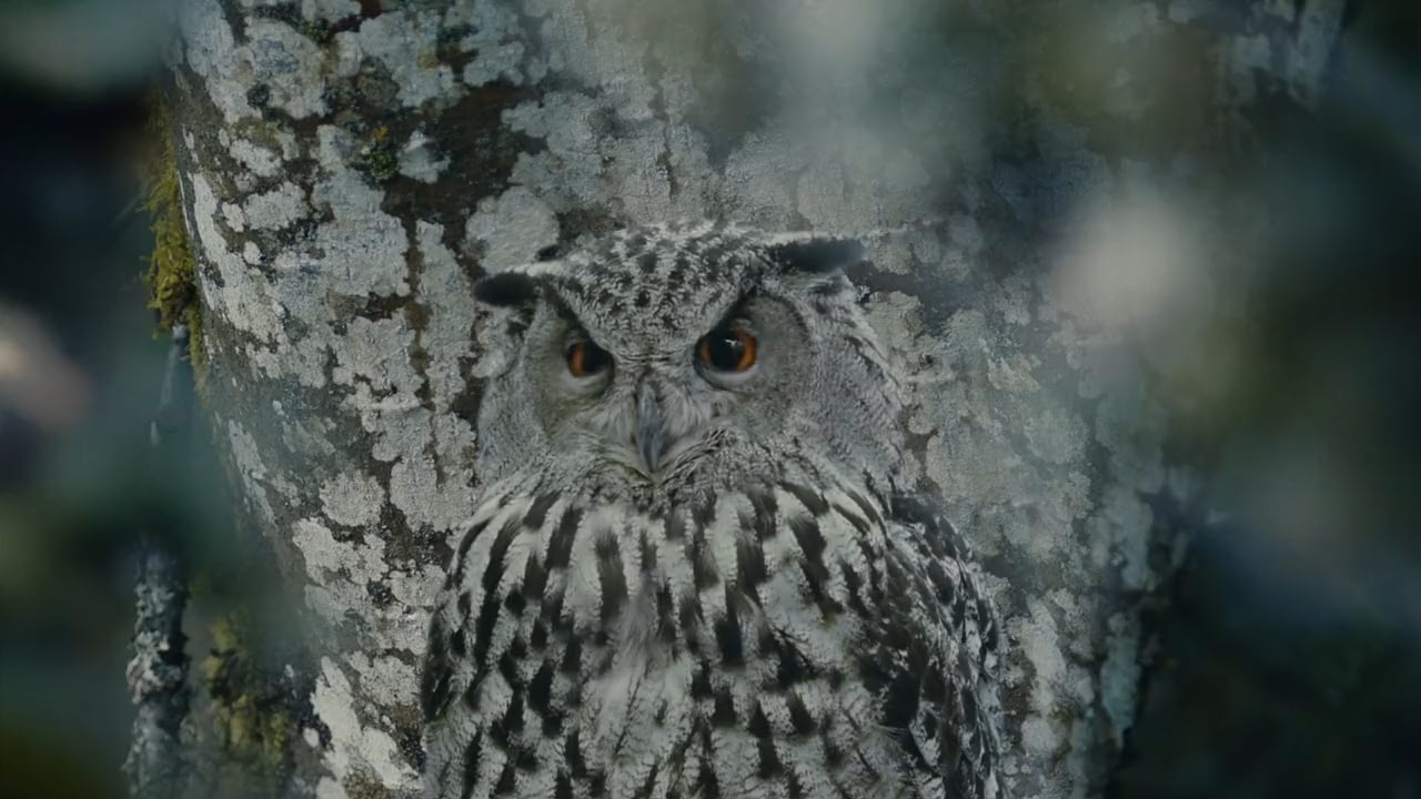 V-ZUG | Natural Perfection