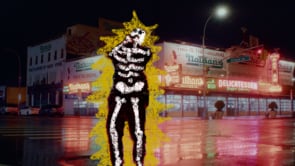 Related Embedded Video Item Thumbnail