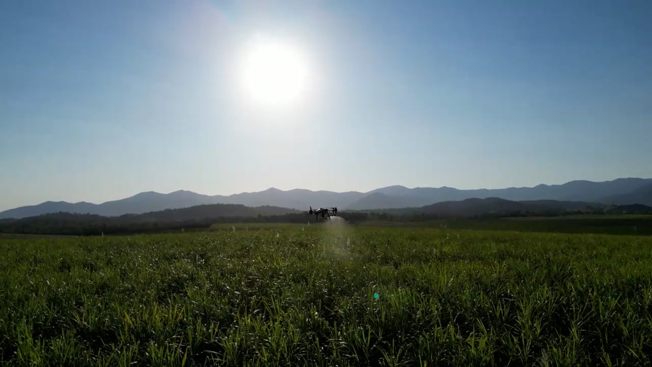 https://i.vimeocdn.com/video/1804084468-00c82349360de53de88945815be7d1d76356addcd6eb10bf00e9fc0113233f9f-d