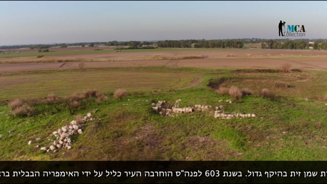 Israel, Tel Miqne (Ekron)