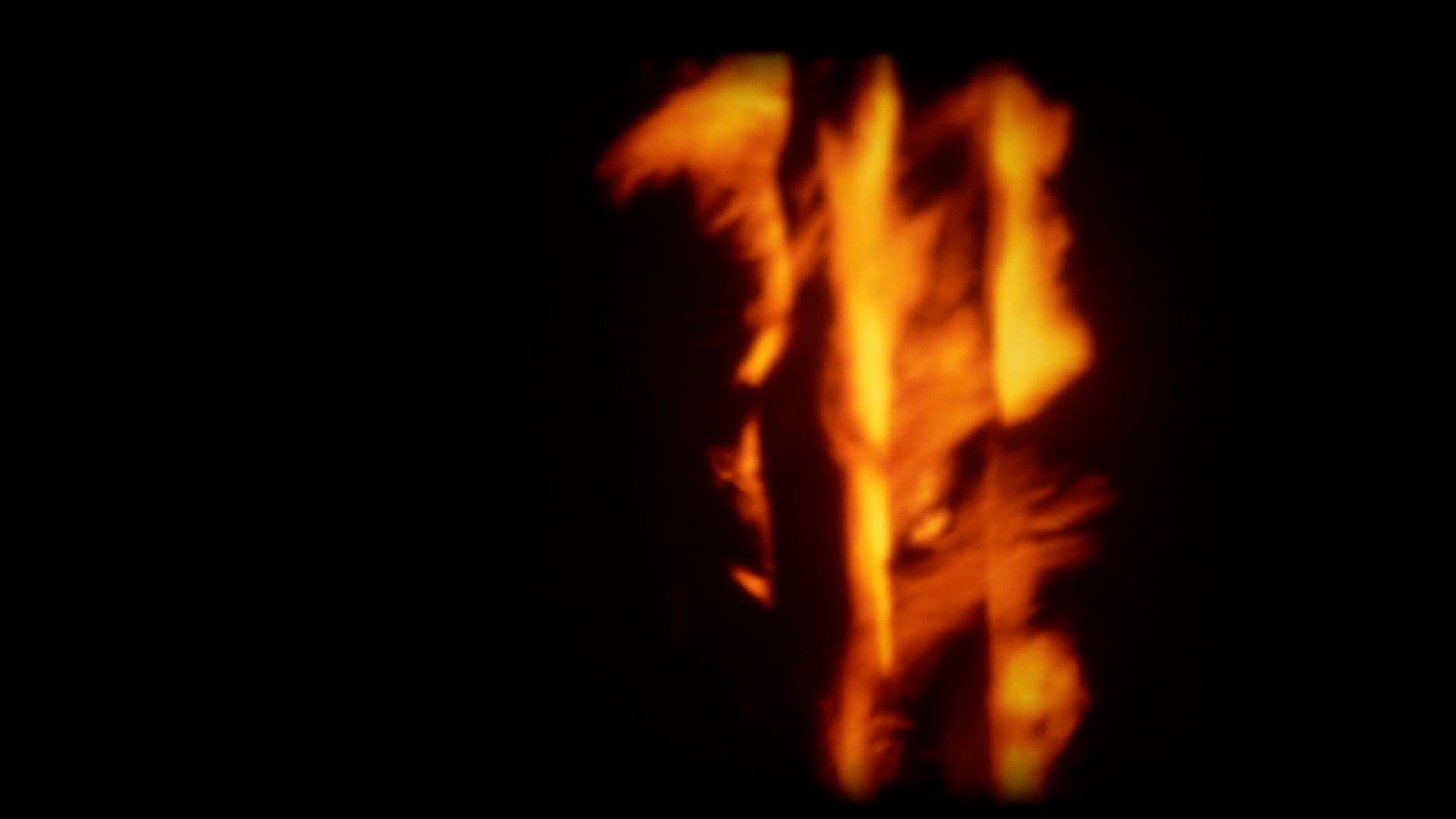 Granada , flor y magma. Verano