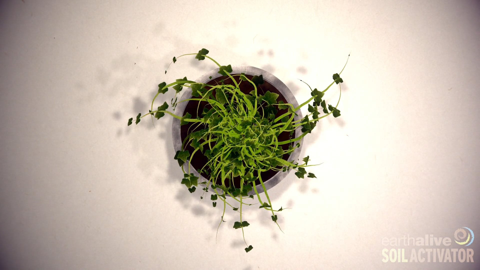 Earth Alive - Soil Activator