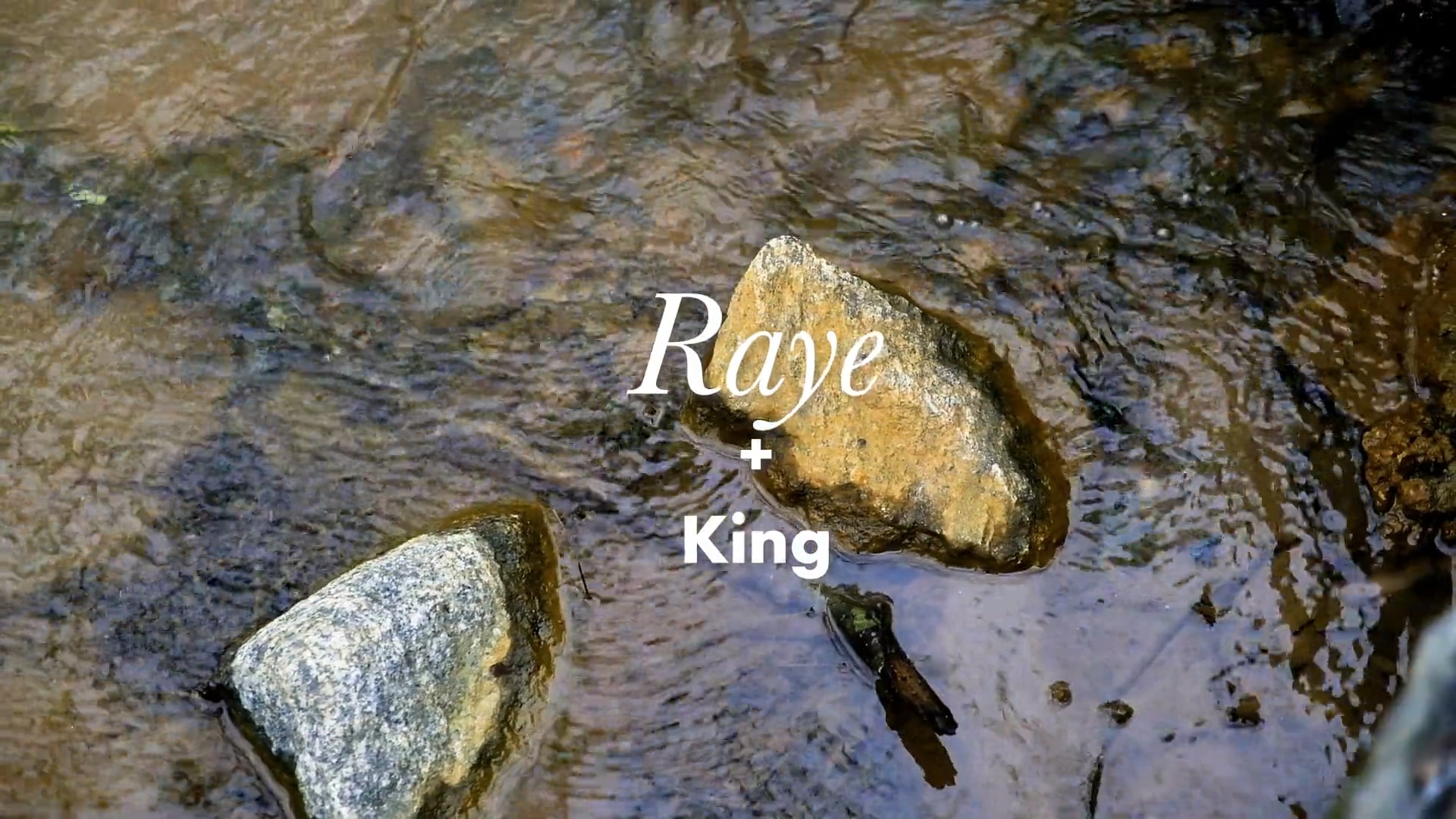 Black Motherhood - Raye - 2022