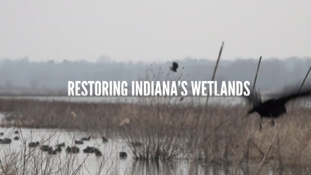 USDA - Restoring Indiana's Wetlands: NRCS Restoration of Goose Pond