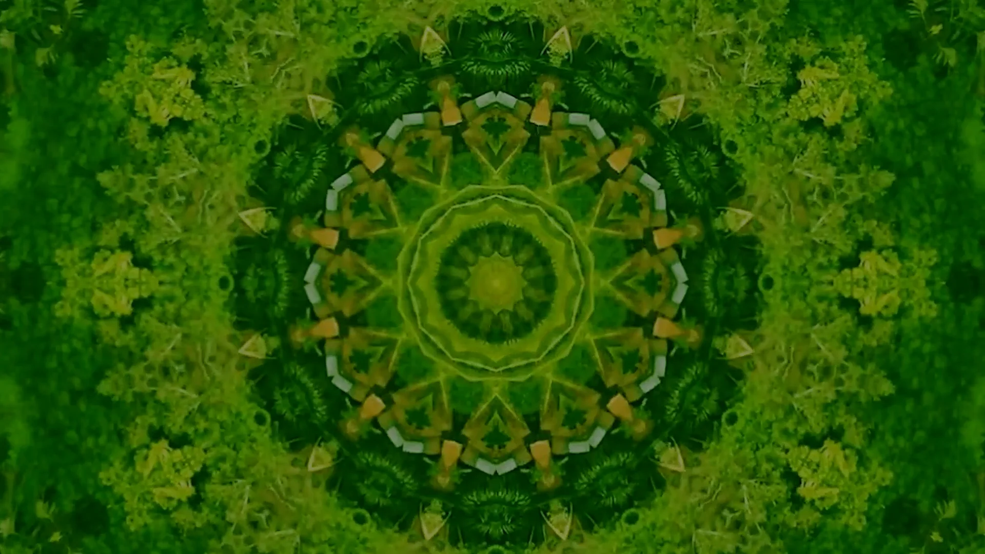 GREEN Color Sampling Experience on Vimeo