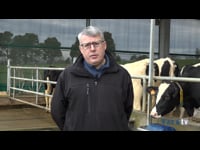 Hablamos con Carlos Noya para profundizar cómo es su asesoría de Calidad de Leche en Granxa Pazos