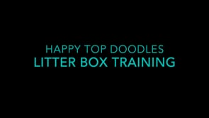 "The Secret to Housebreaking Puppies with Ease: Understanding Their Behavior"