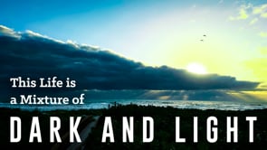 12-16-2023 - Mixture of Bitter and Sweet Dark and Light