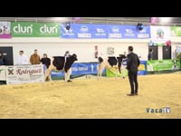 De 21 a 30 años inclusive