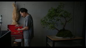 Billy_Bonsai_Doco