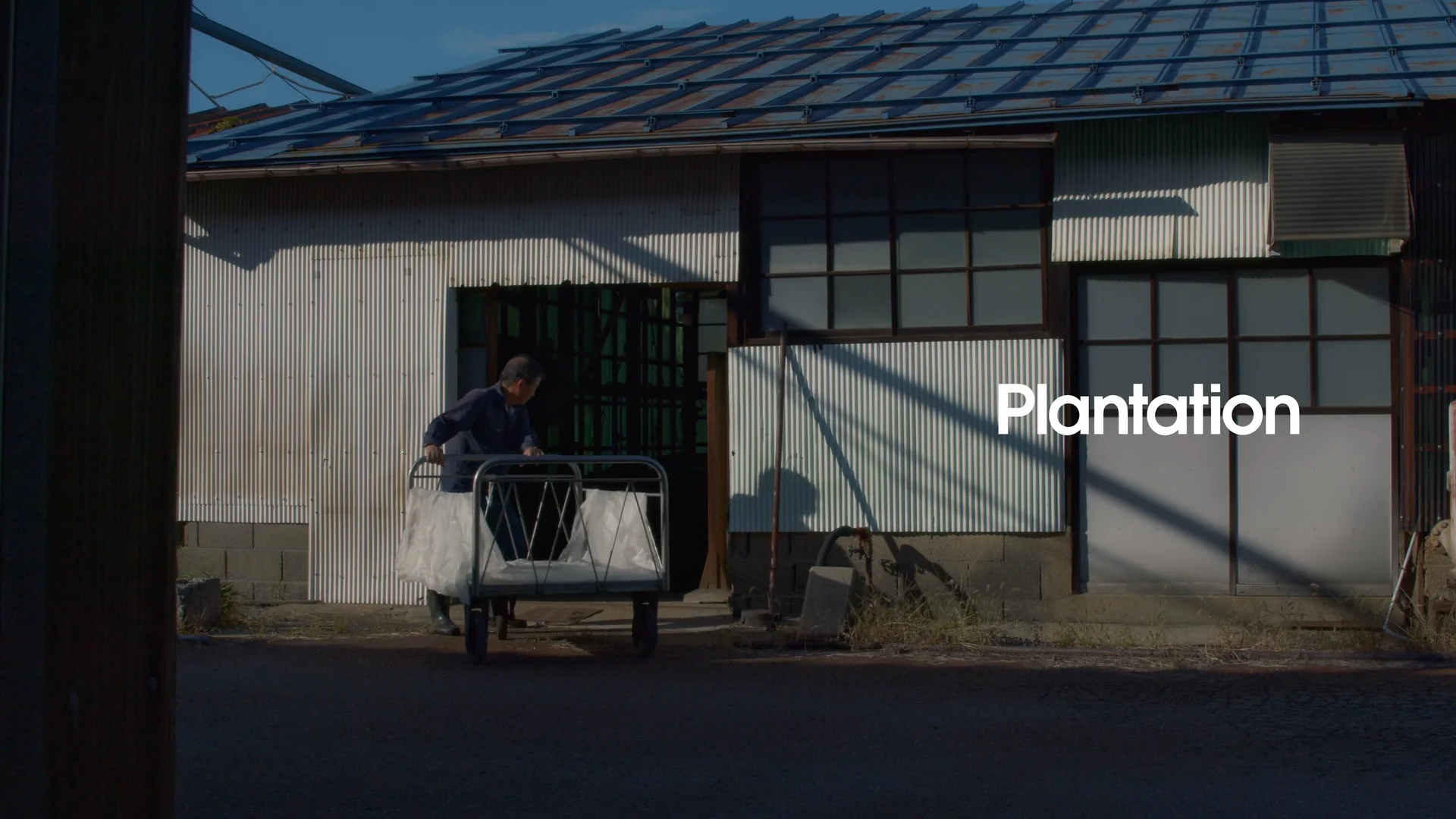 Textile Story vol.2「サシコマンガンドット」 | Plantation