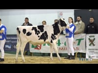 De 16 a 20 años inclusive