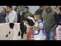 De 10 a 15 años inclusive